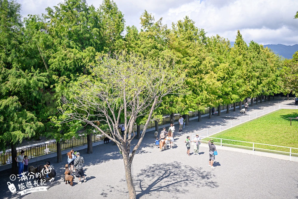 宜蘭【樹懶餐廳萌寵農場】落羽松玻璃屋超美,三大區萌寵玩樂互動空間開箱,與樹懶.泰迪羊.鸚鵡.大紅鶴.鵜鶘互動太好玩!