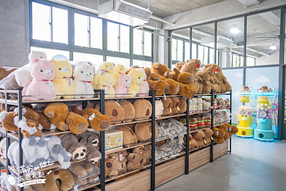 宜蘭【樹懶餐廳萌寵農場】落羽松玻璃屋超美,三大區萌寵玩樂互動空間開箱,與樹懶.泰迪羊.鸚鵡.大紅鶴.鵜鶘互動太好玩!