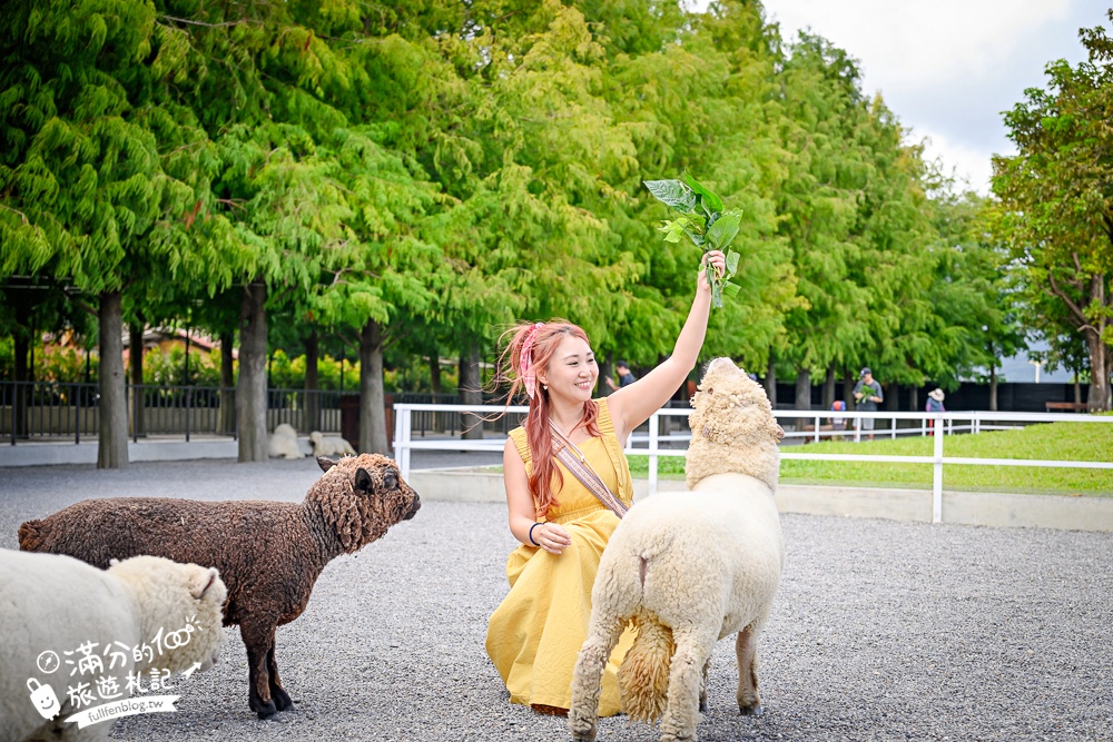 宜蘭【樹懶餐廳萌寵農場】落羽松玻璃屋超美,三大區萌寵玩樂互動空間開箱,與樹懶.泰迪羊.鸚鵡.大紅鶴.鵜鶘互動太好玩!