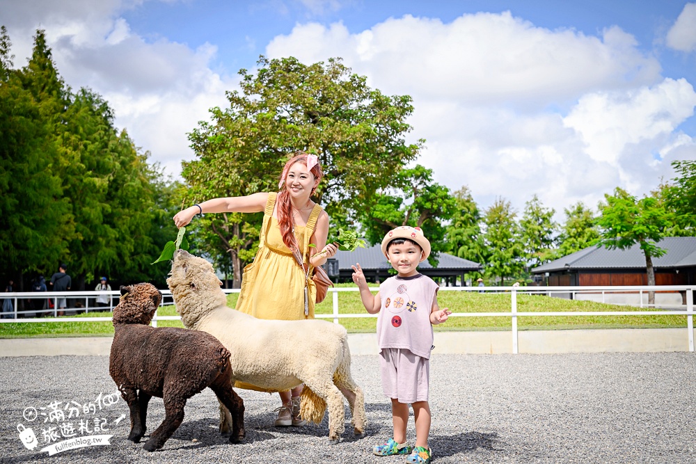 宜蘭【樹懶餐廳萌寵農場】落羽松玻璃屋超美,三大區萌寵玩樂互動空間開箱,與樹懶.泰迪羊.鸚鵡.大紅鶴.鵜鶘互動太好玩!