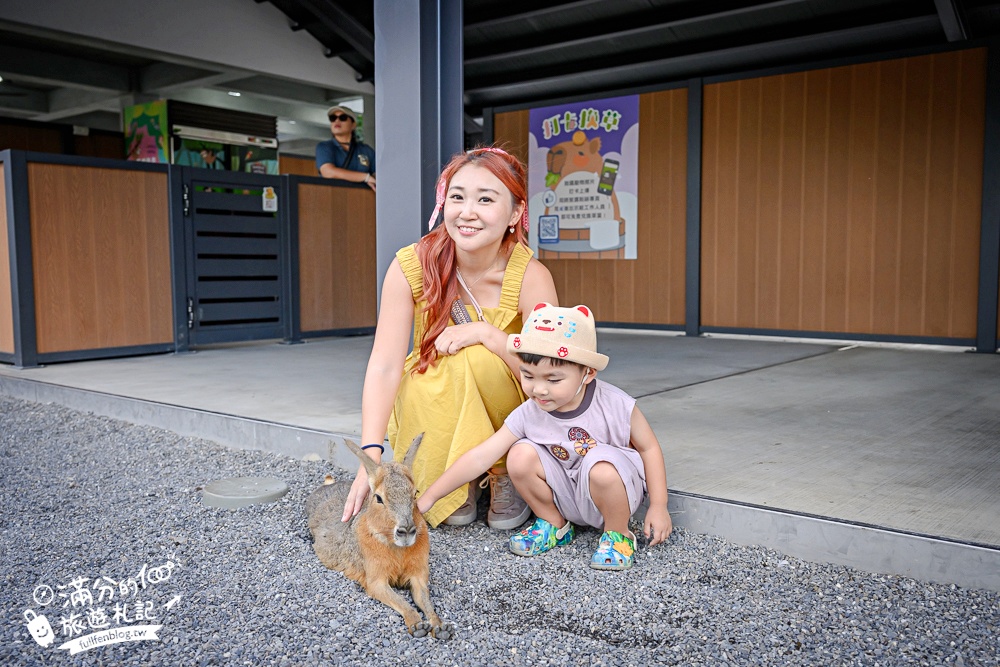 宜蘭【樹懶餐廳萌寵農場】落羽松玻璃屋超美,三大區萌寵玩樂互動空間開箱,與樹懶.泰迪羊.鸚鵡.大紅鶴.鵜鶘互動太好玩!