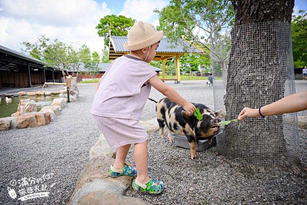 宜蘭【樹懶餐廳萌寵農場】落羽松玻璃屋超美,三大區萌寵玩樂互動空間開箱,與樹懶.泰迪羊.鸚鵡.大紅鶴.鵜鶘互動太好玩!