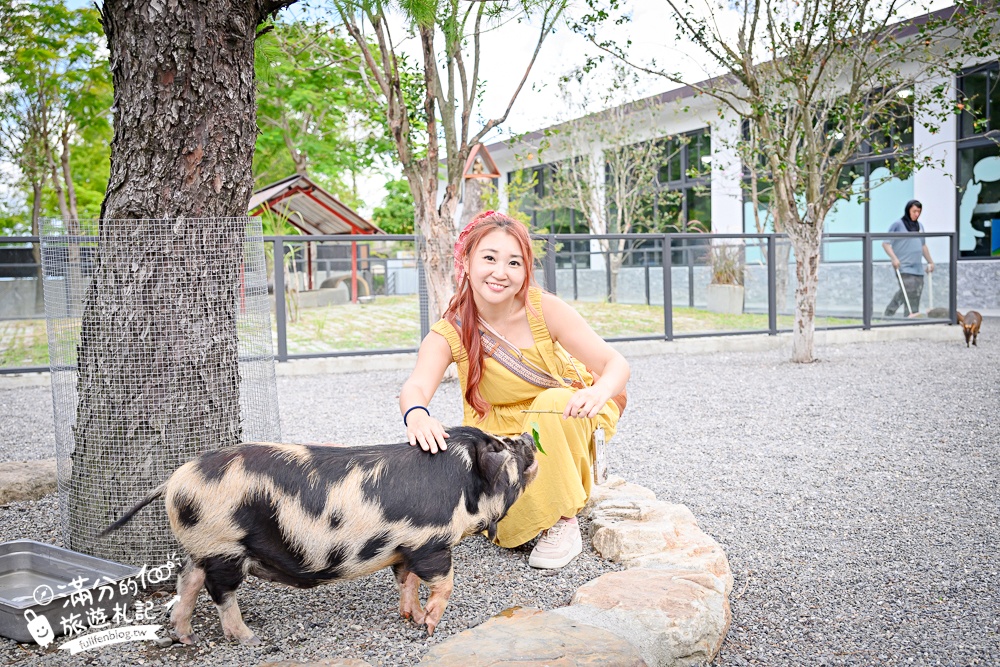 宜蘭【樹懶餐廳萌寵農場】落羽松玻璃屋超美,三大區萌寵玩樂互動空間開箱,與樹懶.泰迪羊.鸚鵡.大紅鶴.鵜鶘互動太好玩!