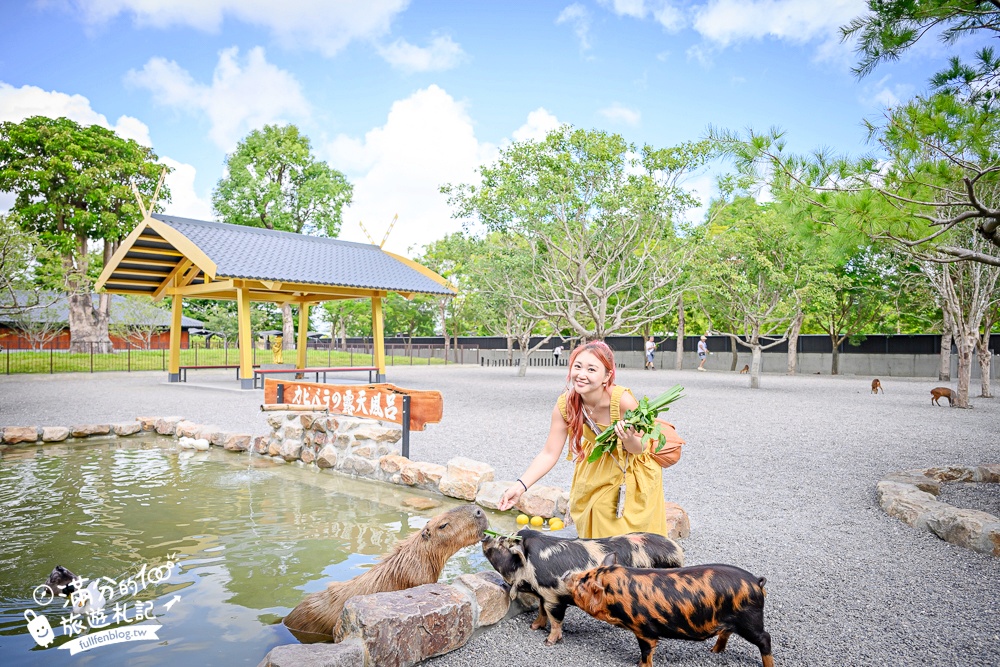 宜蘭【樹懶餐廳萌寵農場】落羽松玻璃屋超美,三大區萌寵玩樂互動空間開箱,與樹懶.泰迪羊.鸚鵡.大紅鶴.鵜鶘互動太好玩!