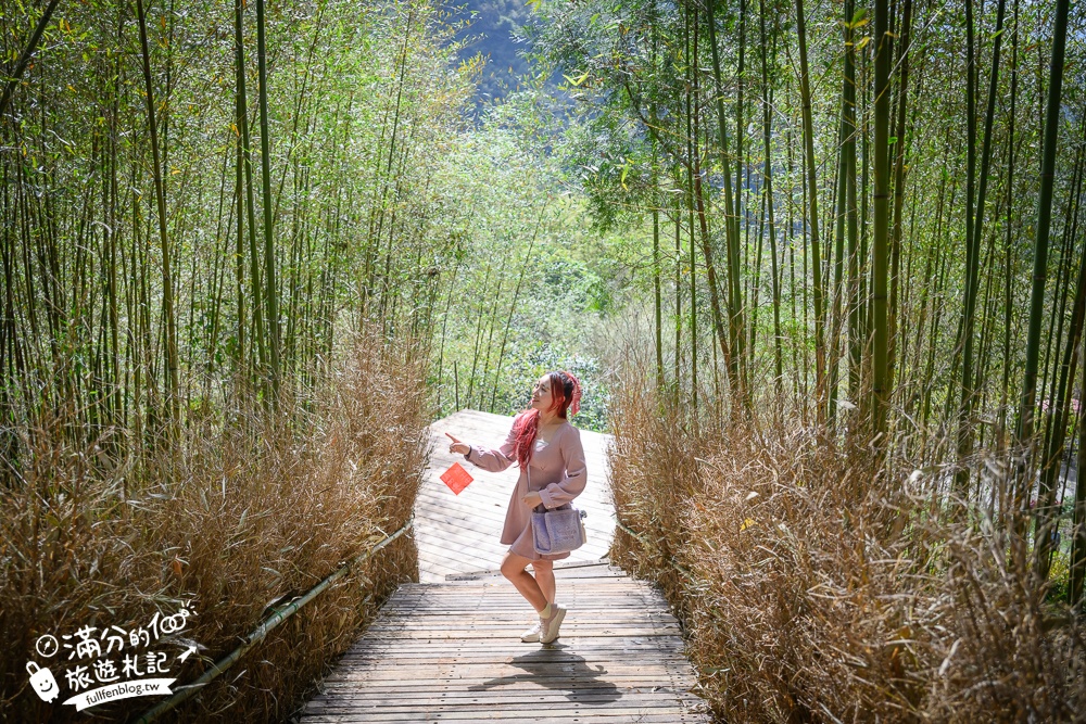 【苗栗哈比丘】2025最新竹林秘境&紫粉色麝香木開放啦!銅鑼最好玩的親子哈比屋.來餵笑笑羊.水豚和袋鼠和盪鞦韆!