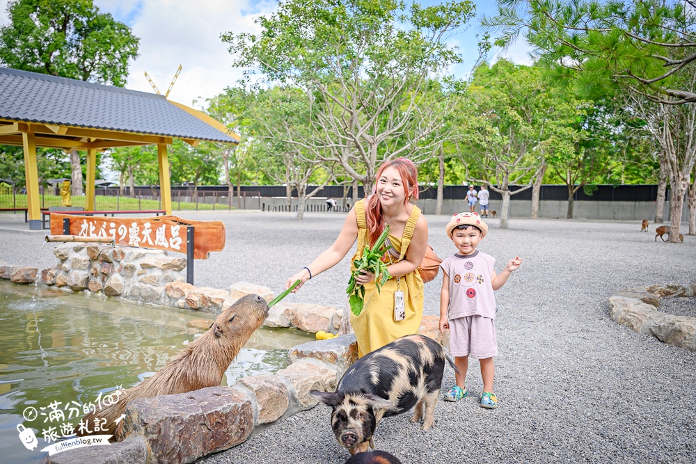 宜蘭【樹懶餐廳萌寵農場】落羽松玻璃屋超美,三大區萌寵玩樂互動空間開箱,與樹懶.泰迪羊.鸚鵡.大紅鶴.鵜鶘互動太好玩!