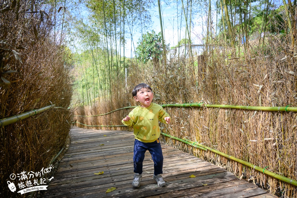 【苗栗哈比丘】2025最新竹林秘境&紫粉色麝香木開放啦!銅鑼最好玩的親子哈比屋.來餵笑笑羊.水豚和袋鼠和盪鞦韆!