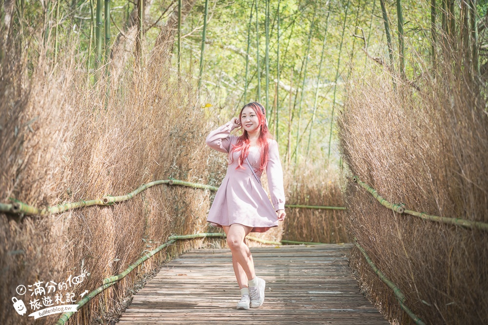 【苗栗哈比丘】2025最新竹林秘境&紫粉色麝香木開放啦!銅鑼最好玩的親子哈比屋.來餵笑笑羊.水豚和袋鼠和盪鞦韆!