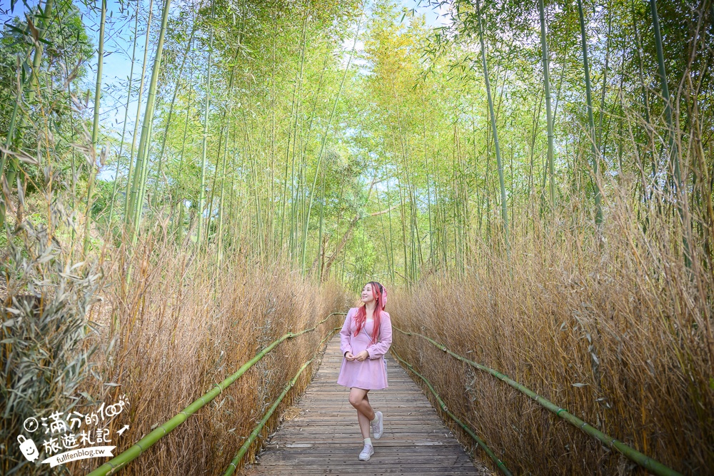 【苗栗哈比丘】2025最新竹林秘境&紫粉色麝香木開放啦!銅鑼最好玩的親子哈比屋.來餵笑笑羊.水豚和袋鼠和盪鞦韆!