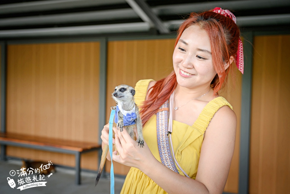 宜蘭【樹懶餐廳萌寵農場】落羽松玻璃屋超美,三大區萌寵玩樂互動空間開箱,與樹懶.泰迪羊.鸚鵡.大紅鶴.鵜鶘互動太好玩!