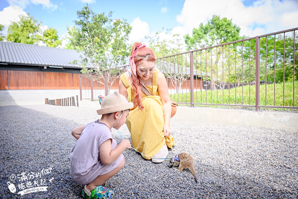 宜蘭【樹懶餐廳萌寵農場】落羽松玻璃屋超美,三大區萌寵玩樂互動空間開箱,與樹懶.泰迪羊.鸚鵡.大紅鶴.鵜鶘互動太好玩!