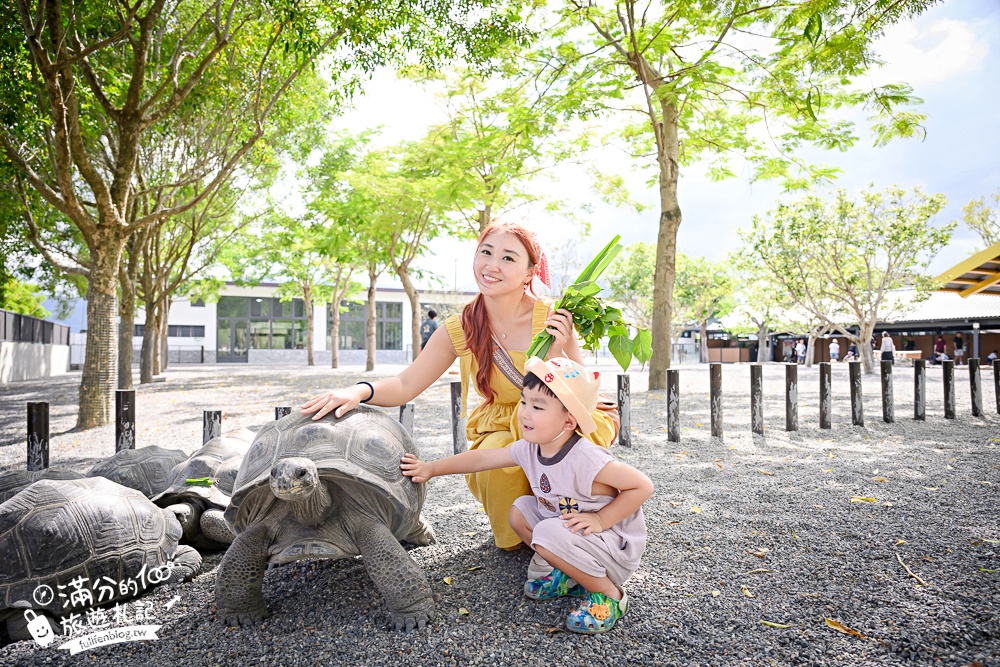 宜蘭【樹懶餐廳萌寵農場】落羽松玻璃屋超美,三大區萌寵玩樂互動空間開箱,與樹懶.泰迪羊.鸚鵡.大紅鶴.鵜鶘互動太好玩!