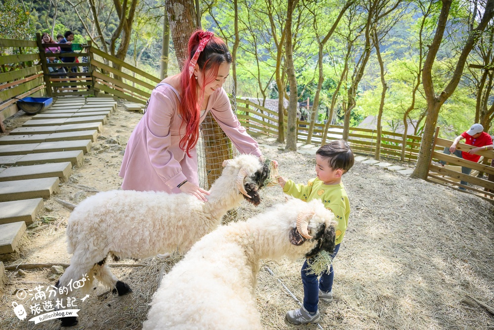 【苗栗哈比丘】2025最新竹林秘境&紫粉色麝香木開放啦!銅鑼最好玩的親子哈比屋.來餵笑笑羊.水豚和袋鼠和盪鞦韆!