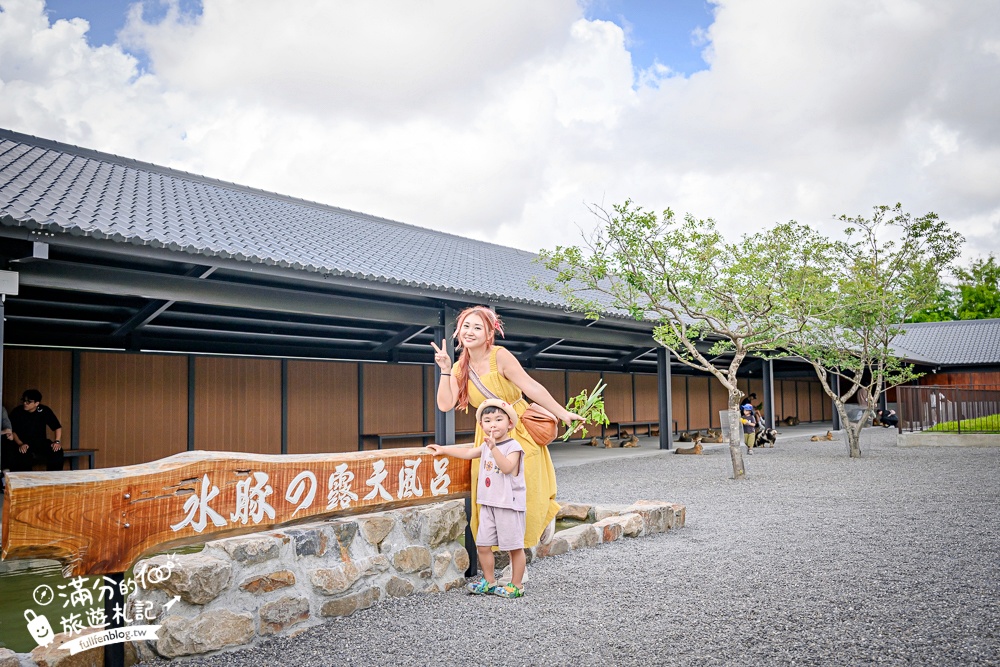 宜蘭【樹懶餐廳萌寵農場】落羽松玻璃屋超美,三大區萌寵玩樂互動空間開箱,與樹懶.泰迪羊.鸚鵡.大紅鶴.鵜鶘互動太好玩!