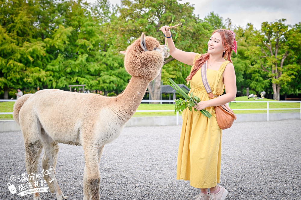 宜蘭【樹懶餐廳萌寵農場】落羽松玻璃屋超美,三大區萌寵玩樂互動空間開箱,與樹懶.泰迪羊.鸚鵡.大紅鶴.鵜鶘互動太好玩!