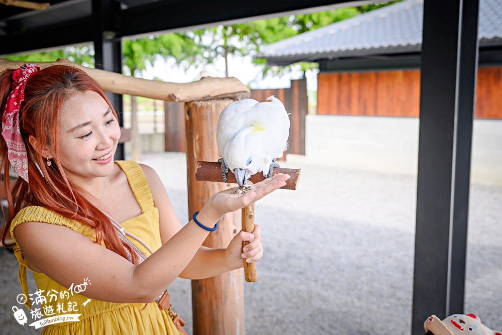 宜蘭【樹懶餐廳萌寵農場】落羽松玻璃屋超美,三大區萌寵玩樂互動空間開箱,與樹懶.泰迪羊.鸚鵡.大紅鶴.鵜鶘互動太好玩!