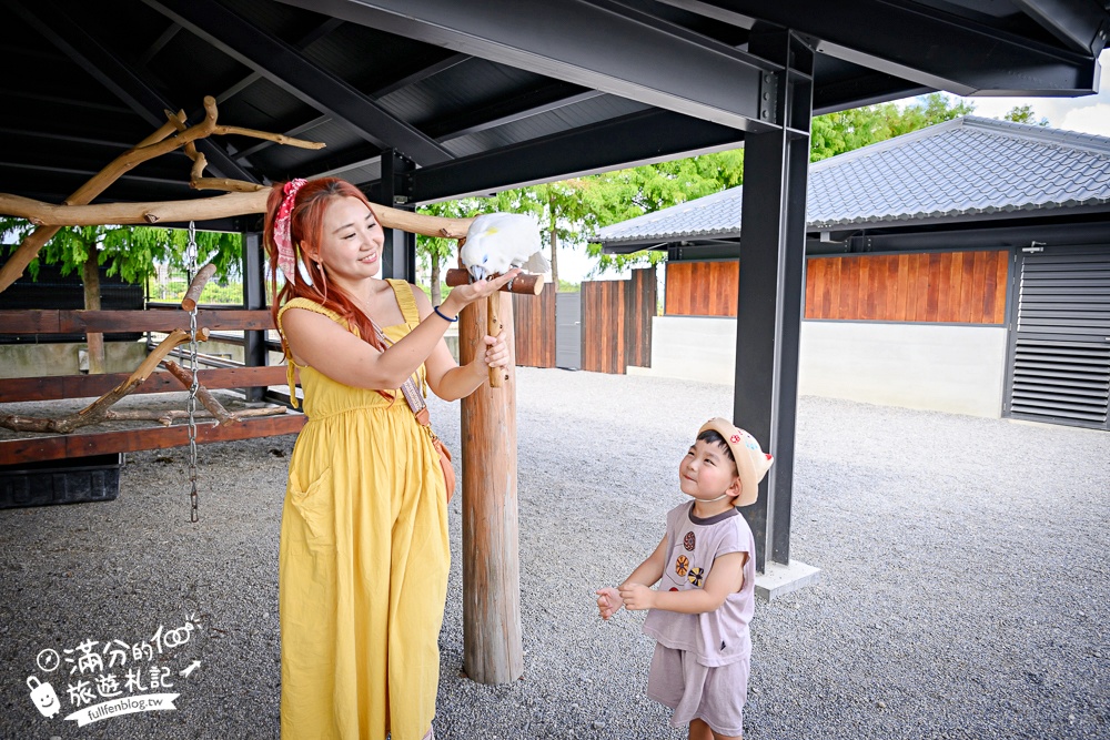宜蘭【樹懶餐廳萌寵農場】落羽松玻璃屋超美,三大區萌寵玩樂互動空間開箱,與樹懶.泰迪羊.鸚鵡.大紅鶴.鵜鶘互動太好玩!