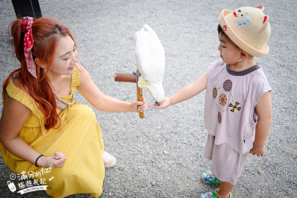 宜蘭【樹懶餐廳萌寵農場】落羽松玻璃屋超美,三大區萌寵玩樂互動空間開箱,與樹懶.泰迪羊.鸚鵡.大紅鶴.鵜鶘互動太好玩!