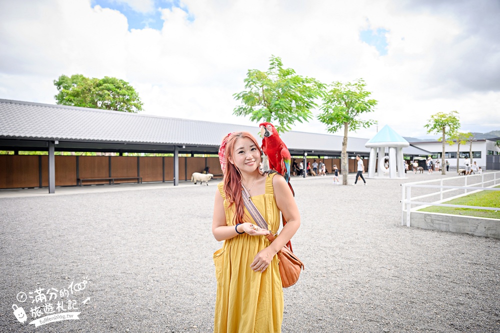 宜蘭【樹懶餐廳萌寵農場】落羽松玻璃屋超美,三大區萌寵玩樂互動空間開箱,與樹懶.泰迪羊.鸚鵡.大紅鶴.鵜鶘互動太好玩!