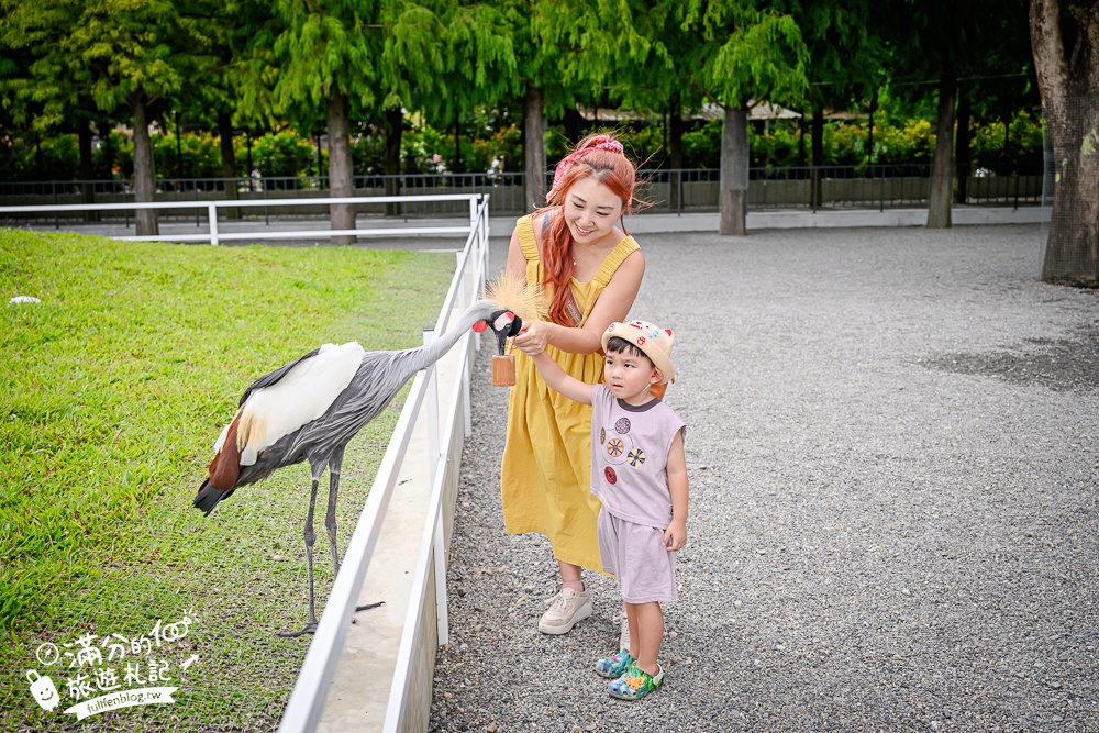 宜蘭【樹懶餐廳萌寵農場】落羽松玻璃屋超美,三大區萌寵玩樂互動空間開箱,與樹懶.泰迪羊.鸚鵡.大紅鶴.鵜鶘互動太好玩!
