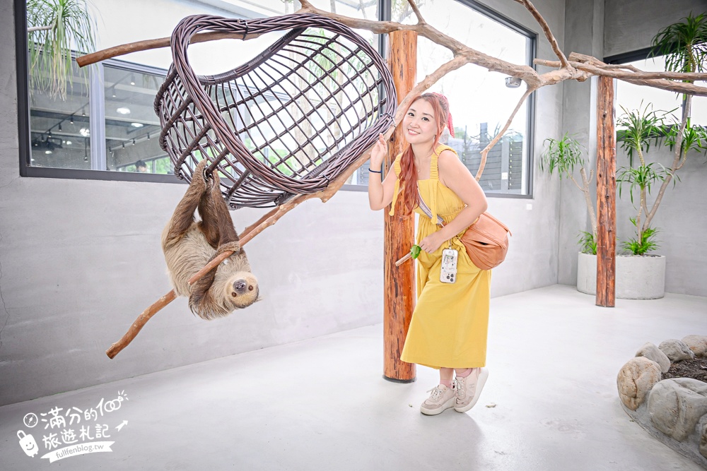 宜蘭【樹懶餐廳萌寵農場】落羽松玻璃屋超美,三大區萌寵玩樂互動空間開箱,與樹懶.泰迪羊.鸚鵡.大紅鶴.鵜鶘互動太好玩!