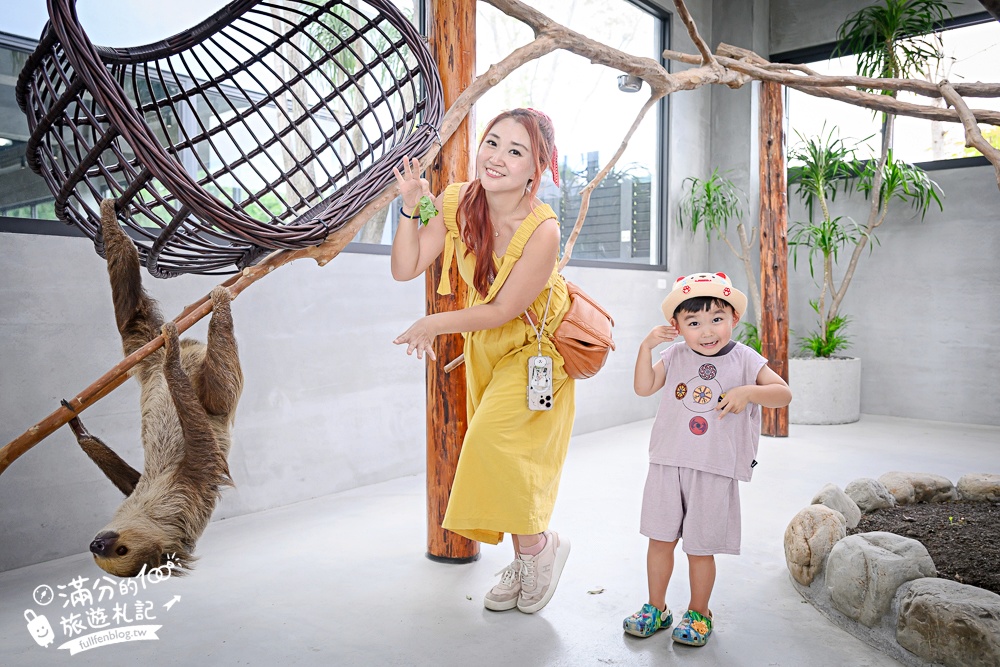 宜蘭【樹懶餐廳萌寵農場】落羽松玻璃屋超美,三大區萌寵玩樂互動空間開箱,與樹懶.泰迪羊.鸚鵡.大紅鶴.鵜鶘互動太好玩!