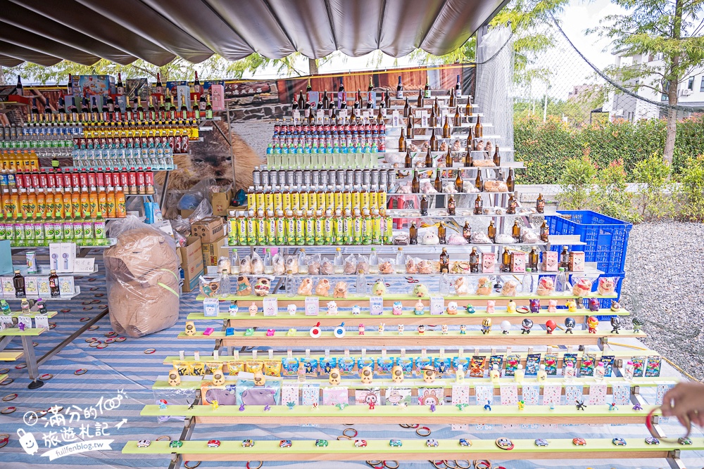 宜蘭【樹懶餐廳萌寵農場】落羽松玻璃屋超美,三大區萌寵玩樂互動空間開箱,與樹懶.泰迪羊.鸚鵡.大紅鶴.鵜鶘互動太好玩!