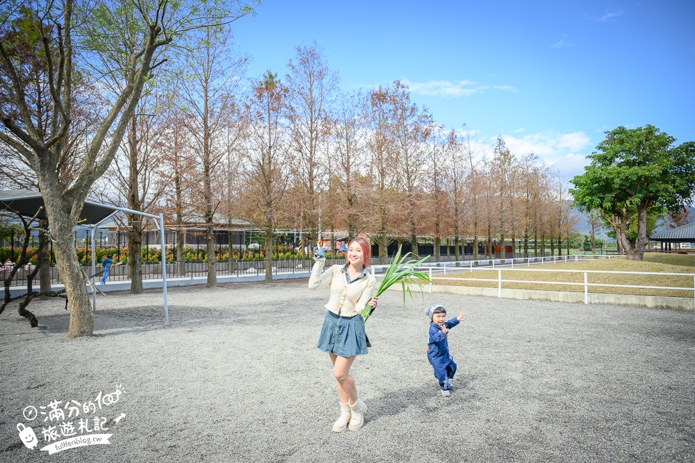 宜蘭【樹懶餐廳】全新萌寵景觀餐廳.玻璃屋看落羽松吃美食,近距離餵山地牛.泰迪羊.鸚鵡和樹懶,還有大紅鶴&鵜鶘出沒!
