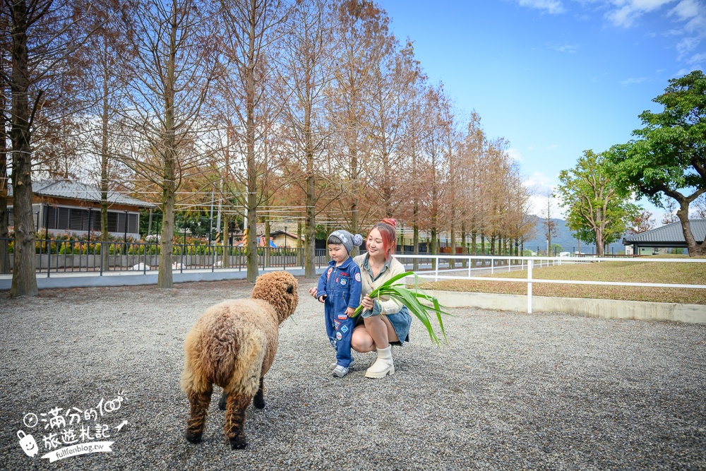 宜蘭【樹懶餐廳】全新萌寵景觀餐廳.玻璃屋看落羽松吃美食,近距離餵山地牛.泰迪羊.鸚鵡和樹懶,還有大紅鶴&鵜鶘出沒!