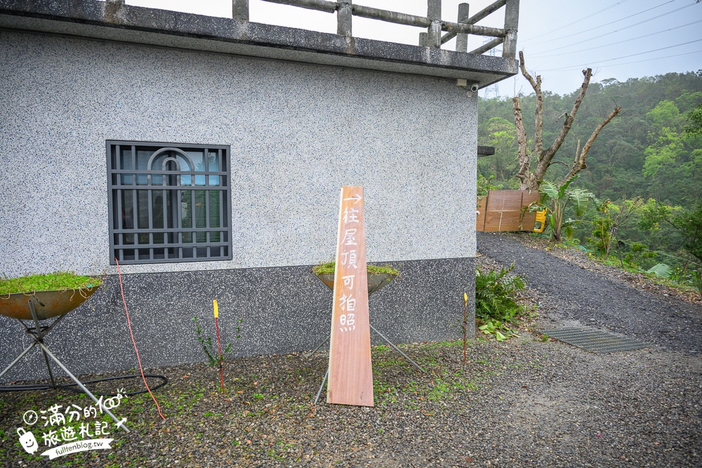 【2025松櫻秘境】宜蘭最新免門票櫻花路,與八重櫻王輕鬆合影還有紅色大鳥居!