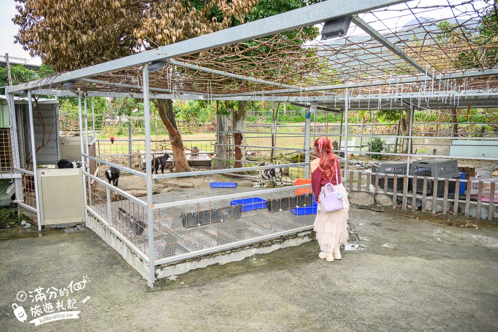 宜蘭礁溪美食【皇家花園餐廳】礁溪親子餐廳,必吃脆皮烤雞＆櫻桃烤鴨,來用餐還能與可愛動物互動好有趣!