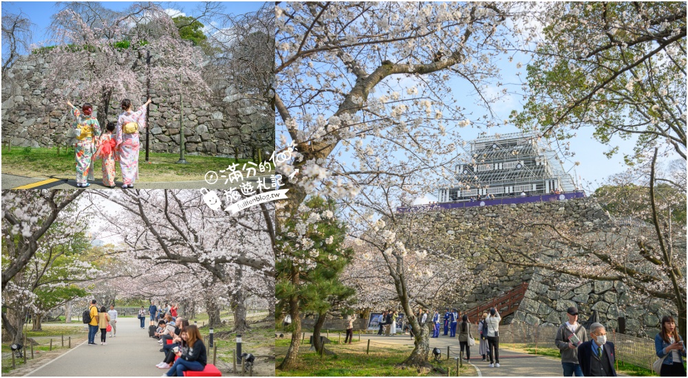 2025福岡【舞鶴公園櫻花季】最新花況!福岡城跡點燈&#038;大濠公園,穿和服賞櫻超好看! @滿分的旅遊札記