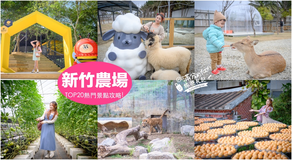 【2025新竹親子飯店懶人包】TOP7間新竹親子住宿推薦,爸媽們都超推,大球池.露天泳池.賽車,住飯店也能玩整天!