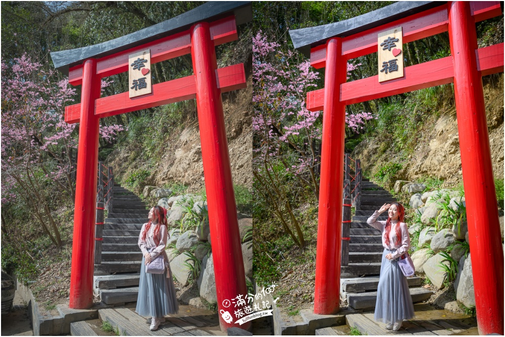 【2025杉林溪櫻花季玩樂攻略】南投杉林溪最美湖景櫻花&最新門票遊園接駁車資訊~杉林溪TOP3賞櫻人像拍照點!