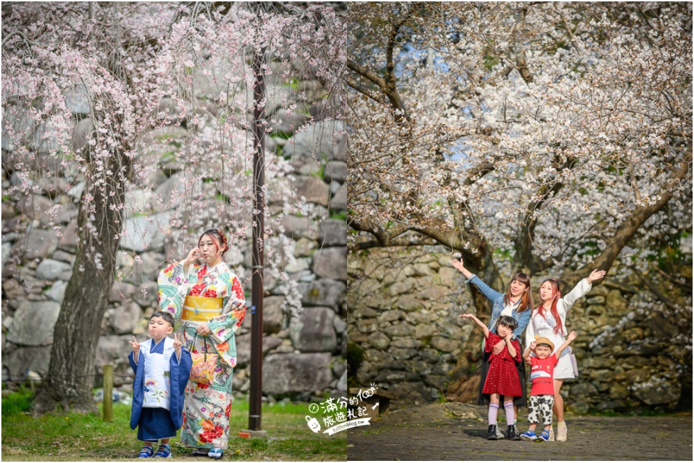 2025福岡【舞鶴公園櫻花季】最新花況!福岡城跡點燈&大濠公園,穿和服賞櫻超好看!