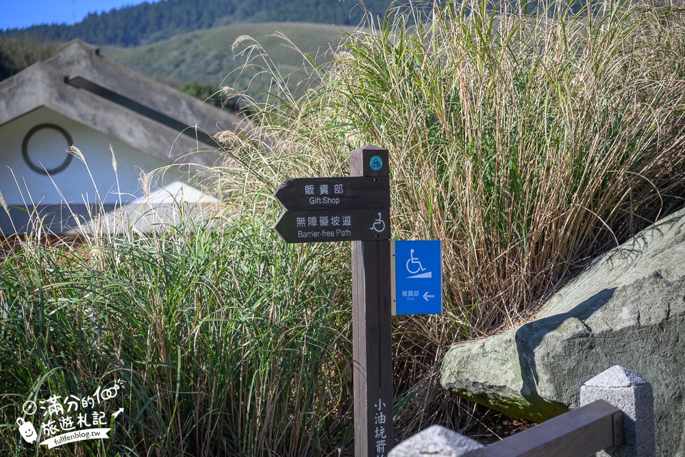 【台北陽明山】小油坑步道超壯觀,近距離欣賞後火山作用形成的噴氣孔＆硫磺結晶！