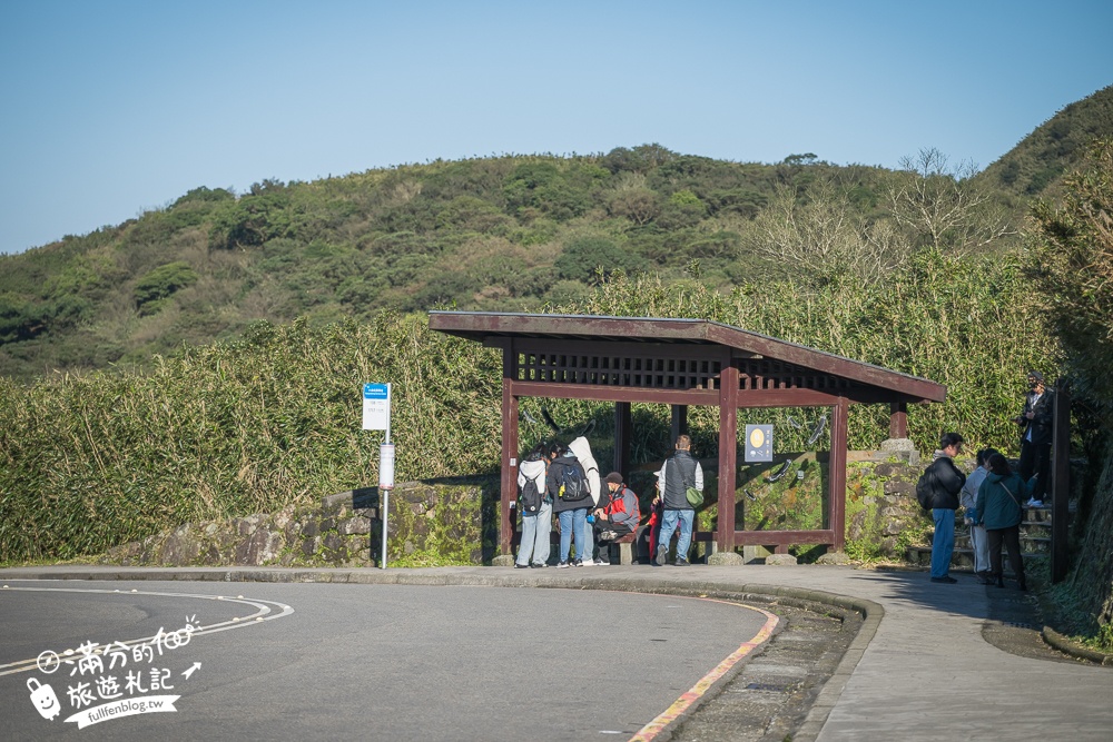 【台北陽明山】小油坑步道超壯觀,近距離欣賞後火山作用形成的噴氣孔＆硫磺結晶！