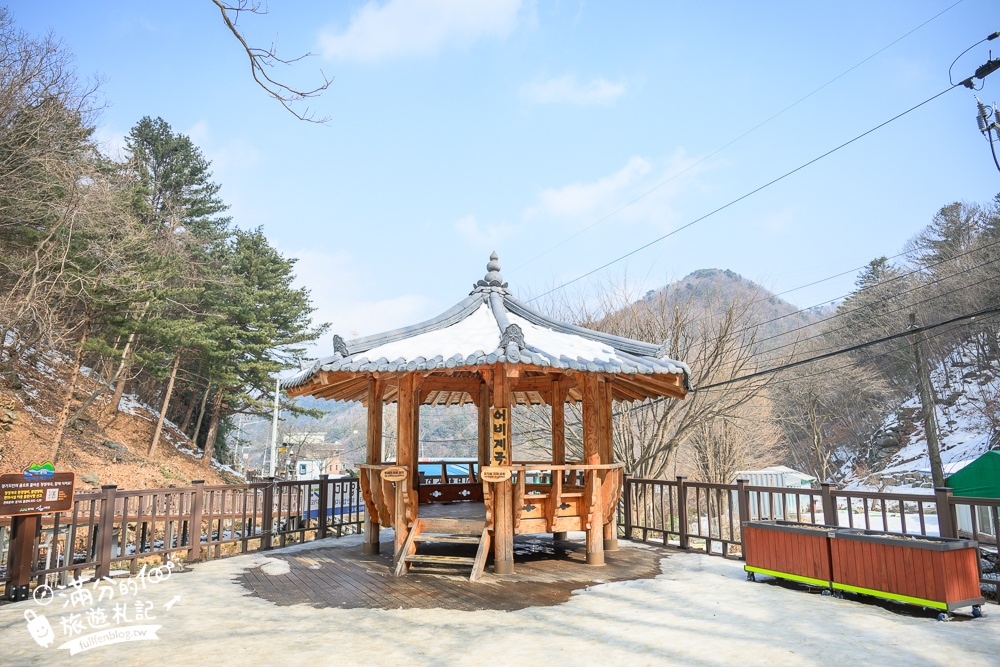【南怡島景點一日遊攻略】順遊Eobi冰谷&晨靜樹木園&羊駝世界,首爾親子景點攻略!