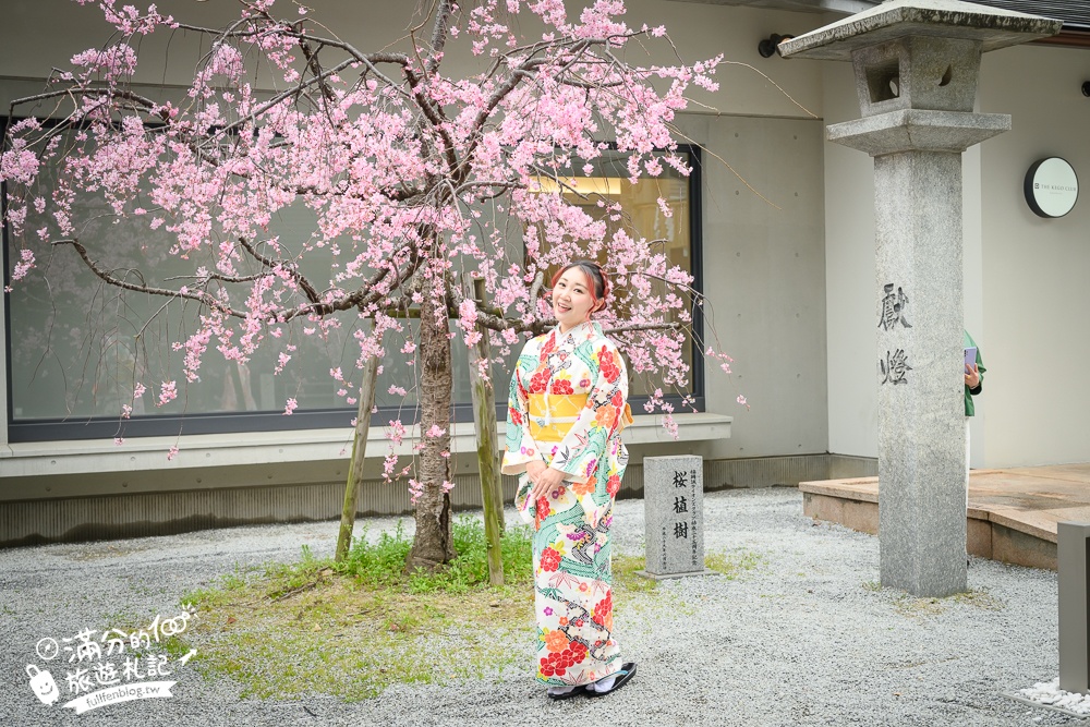 福岡櫻花景點【警固神社】福岡城守護神,福岡和服體驗拍照點,祈福賞櫻拍照超好看!