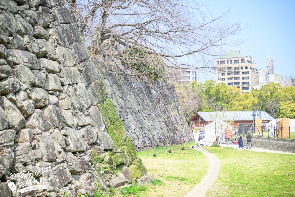 2025福岡【舞鶴公園櫻花季】最新花況!福岡城跡點燈&大濠公園,穿和服賞櫻超好看!