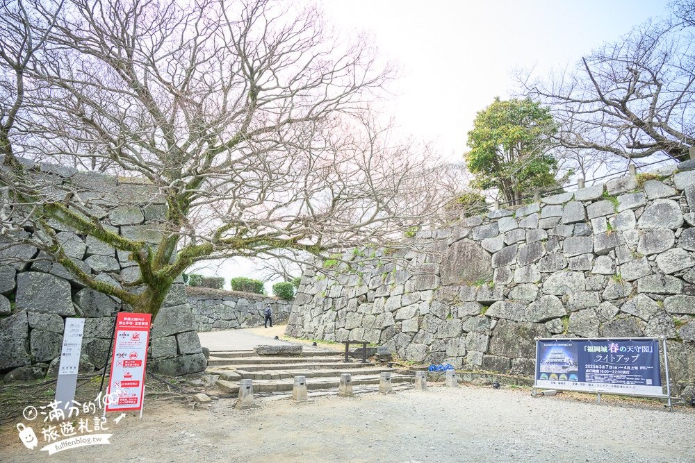 2025福岡【舞鶴公園櫻花季】最新花況!福岡城跡點燈&大濠公園,穿和服賞櫻超好看!