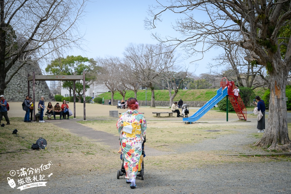 2025福岡【舞鶴公園櫻花季】最新花況!福岡城跡點燈&大濠公園,穿和服賞櫻超好看!