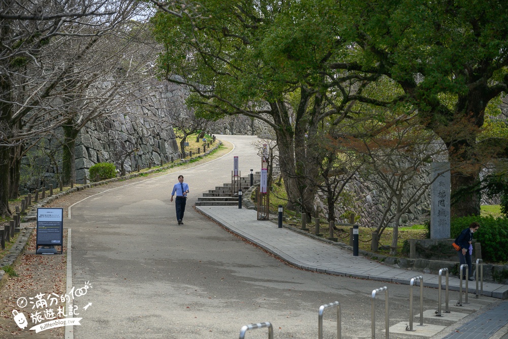 2025福岡【舞鶴公園櫻花季】最新花況!福岡城跡點燈&大濠公園,穿和服賞櫻超好看!