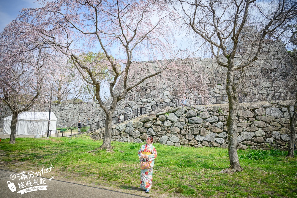 2025福岡【舞鶴公園櫻花季】最新花況!福岡城跡點燈&大濠公園,穿和服賞櫻超好看!