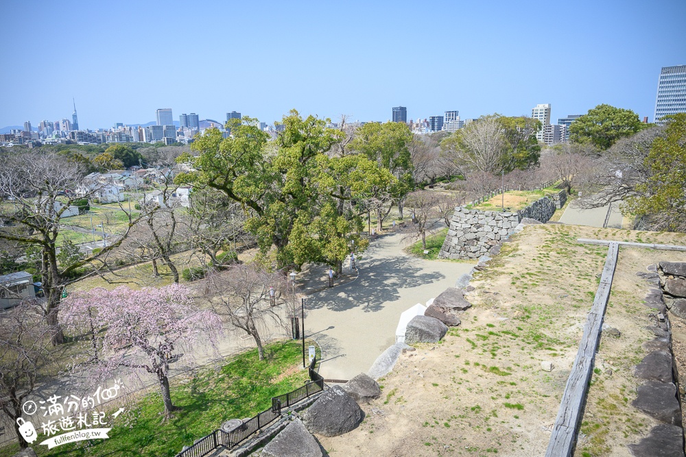 2025福岡【舞鶴公園櫻花季】最新花況!福岡城跡點燈&大濠公園,穿和服賞櫻超好看!