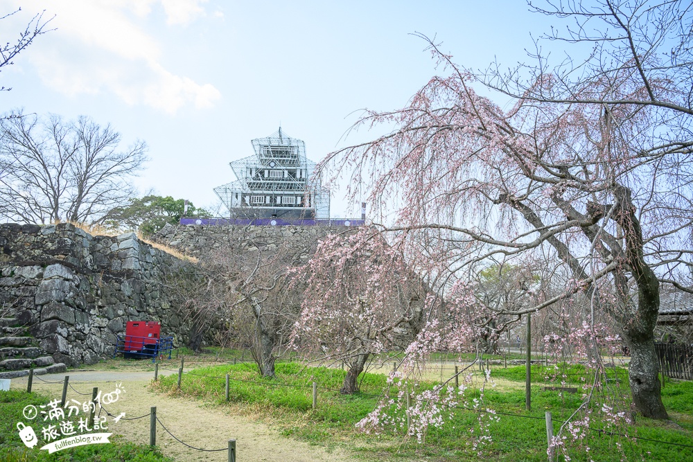 2025福岡【舞鶴公園櫻花季】最新花況!福岡城跡點燈&大濠公園,穿和服賞櫻超好看!