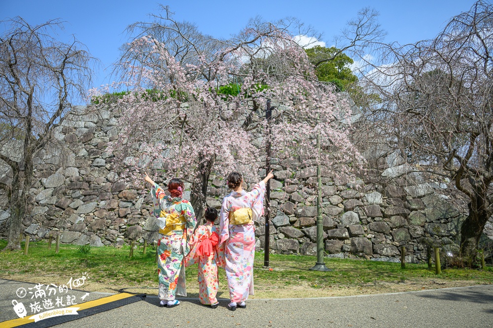 2025福岡【舞鶴公園櫻花季】最新花況!福岡城跡點燈&大濠公園,穿和服賞櫻超好看!