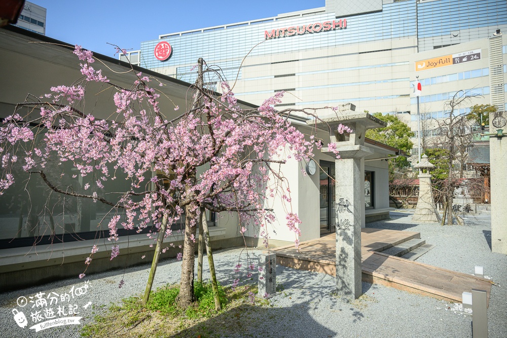福岡櫻花景點【警固神社】福岡城守護神,福岡和服體驗拍照點,祈福賞櫻拍照超好看!