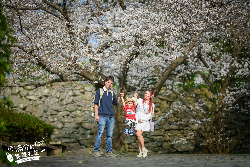 2025福岡【舞鶴公園櫻花季】最新花況!福岡城跡點燈&大濠公園,穿和服賞櫻超好看!