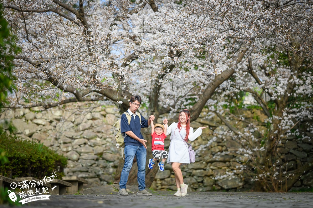 2025福岡【舞鶴公園櫻花季】最新花況!福岡城跡點燈&大濠公園,穿和服賞櫻超好看!